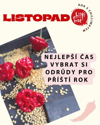 🌶️ Rok s Chillimatem – listopad 🍂 Listopad je měsíc plánování nové chilli sezóny! Teď je ideální chvíle vybrat si odrůdy,...